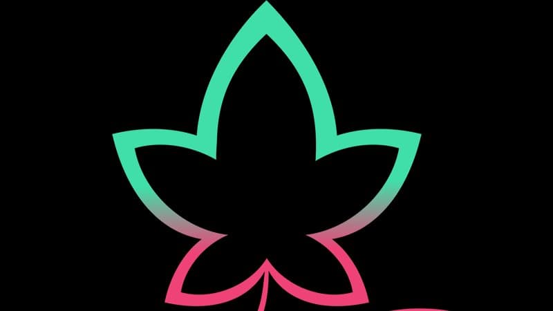 Escuela de Yoga Ling Natural YOGA - Centro de Bienestar y Yoga Adaptado in Santa Cruz de Tenerife